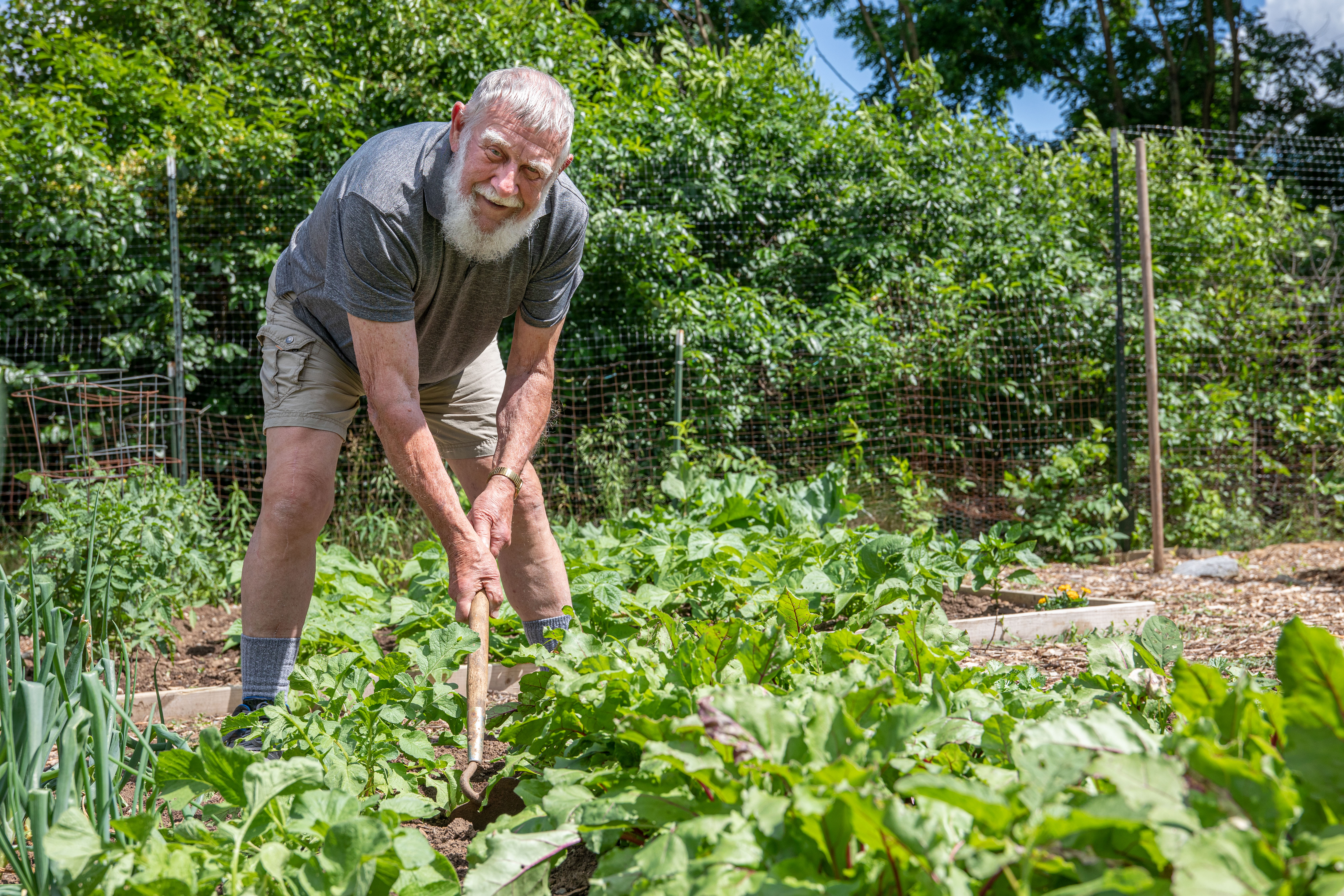 Community gardens within walking distance