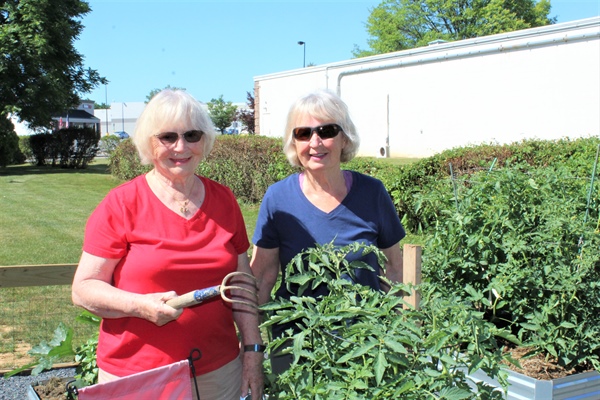 Sisterhood Strengthened Through War and Peace