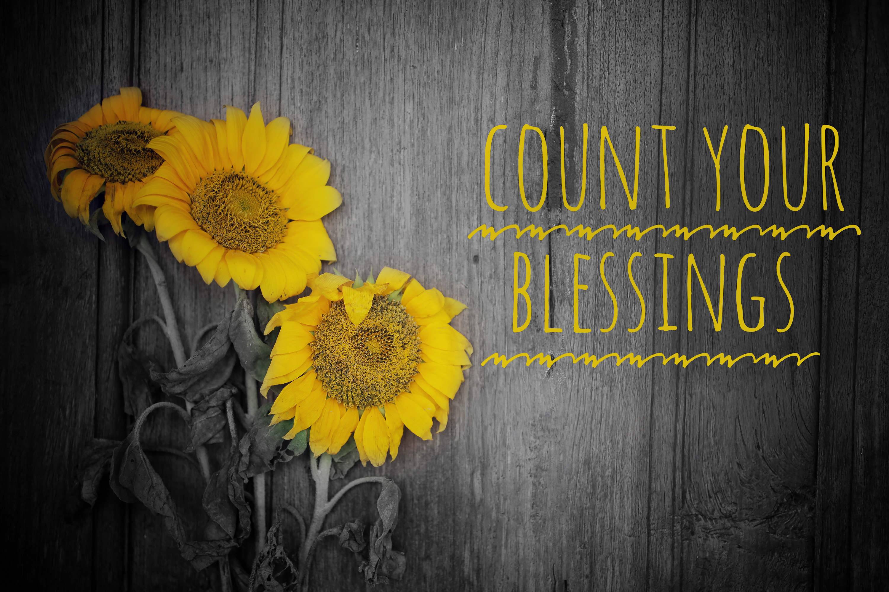 The Science of Gratitude: Why Thankfulness Matters More as We Age