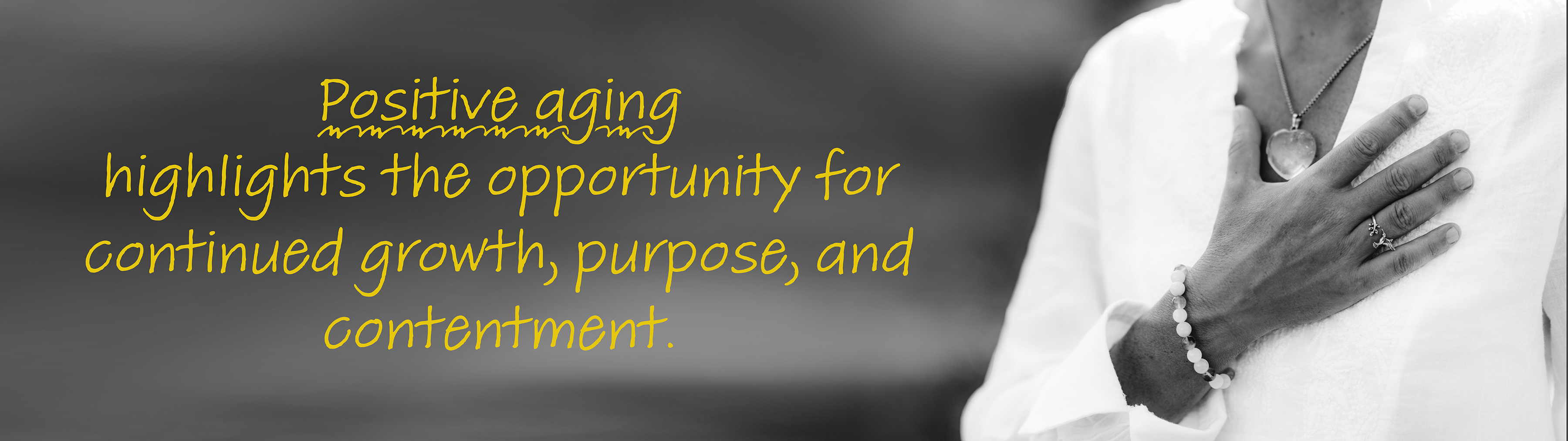 AdobeStock_447212645...